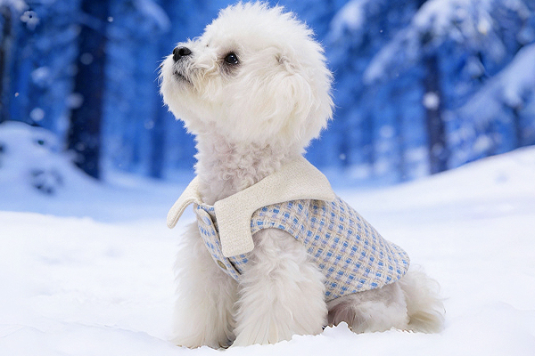 Internation Luxury Awards Winner - LULUVIA by Luluvia LLC