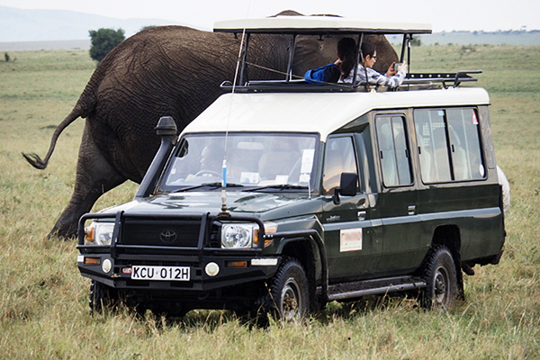 Internation Luxury Awards Winner - Best International Photo Tours by Brian Merry Photography