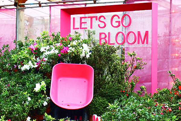 Internation Luxury Awards Winner - 2026 Let’s Go Bloom by New Taipei City Government Tsun Guang Co., Ltd